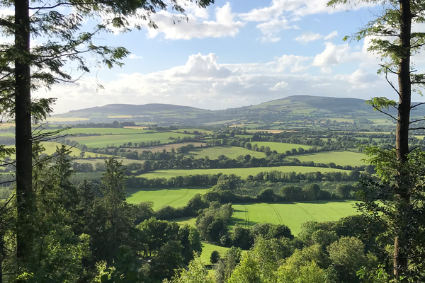 Walking trail near Bunclody